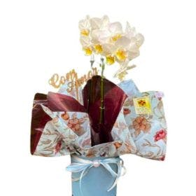Orquídea com embalagem diferenciada